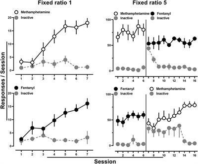 Modeling Stimulant and Opioid Co-use in Rats Provided Concurrent Access to Methamphetamine and Fentanyl